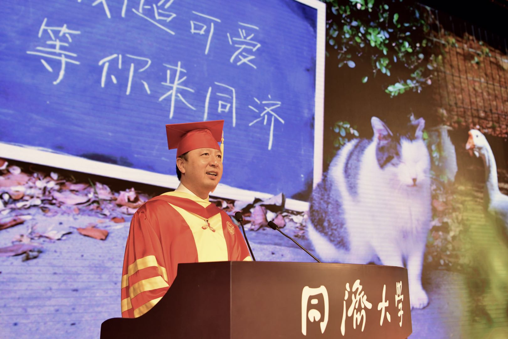 1575879149000017976.jpg A729C7CDE86F9E9EF99706FFD2D_8DE3BDD7_2986E.jpg