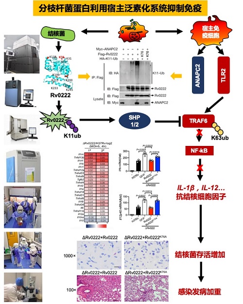 1580308232374057177.jpg 37.jpg