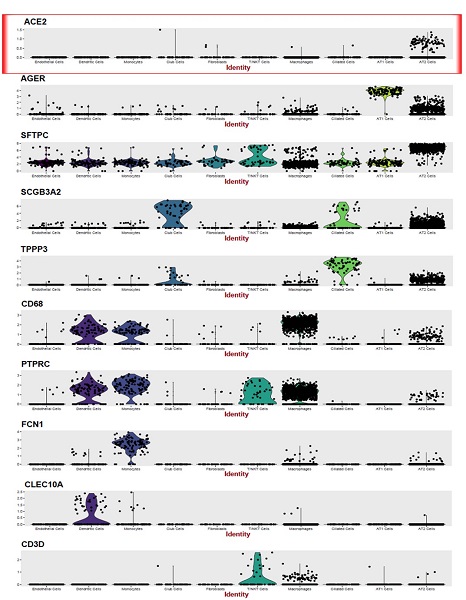 1580308982384094865.jpg 39.jpg