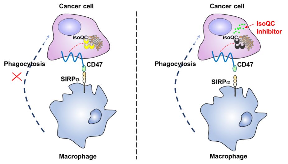 1575871318114069856.jpg B70CAEE8BD37F6641956976FB45_D13AD4C4_B059.jpg