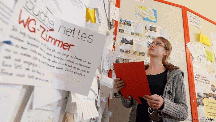 1575254387577054543.jpg 7.jpg