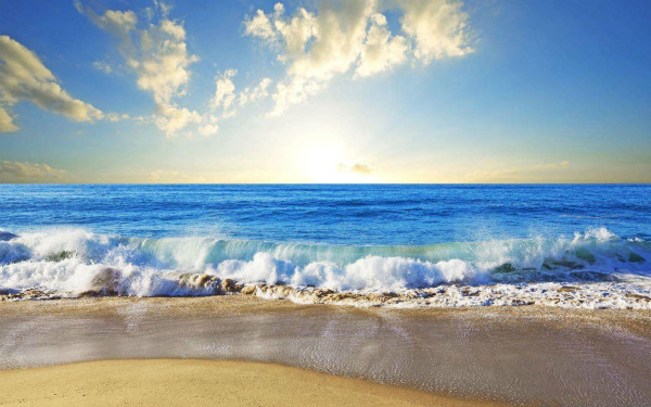 1575339757048053573.jpg 35.jpg