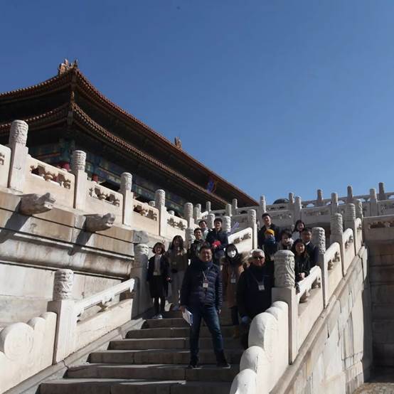 1575446257923055195.jpg F367B69189DE912F22DDCD221D2_4C930D47_9314.jpg