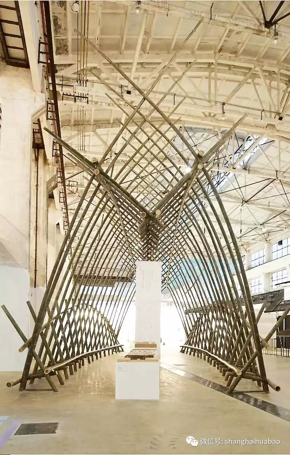 1578626094147030231.jpg 16.jpg