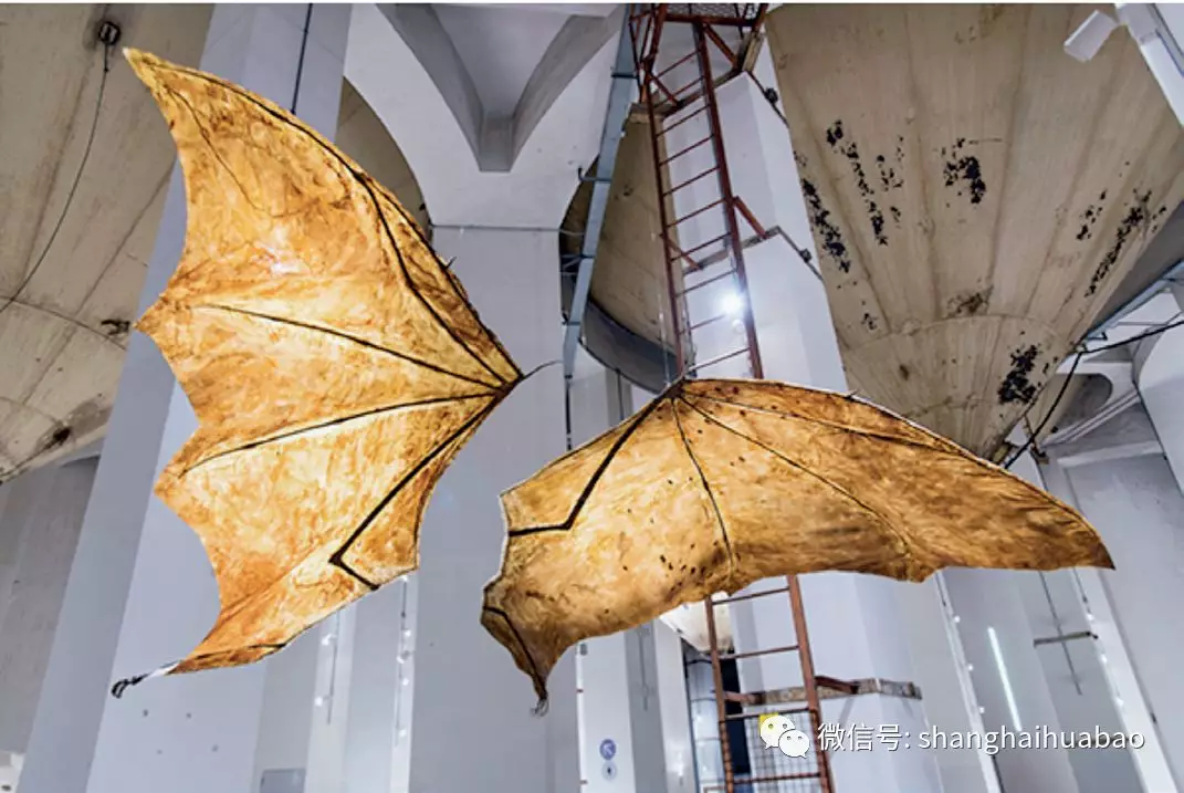 1578626132040036911.jpg 17.jpg